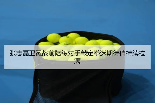 张志磊卫冕战前陪练对手敲定拳迷期待值持续拉满 - www.jiuyou..com